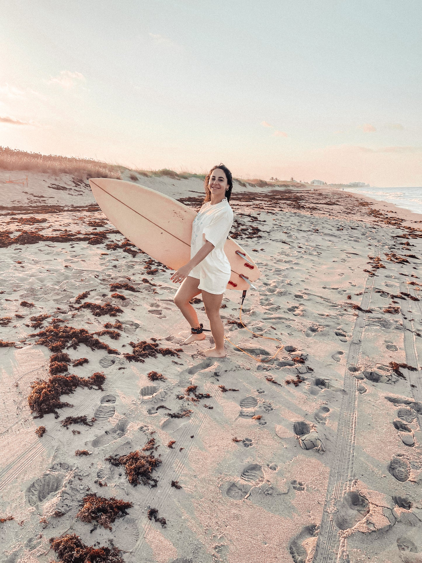 SEASHELLS & BOWS