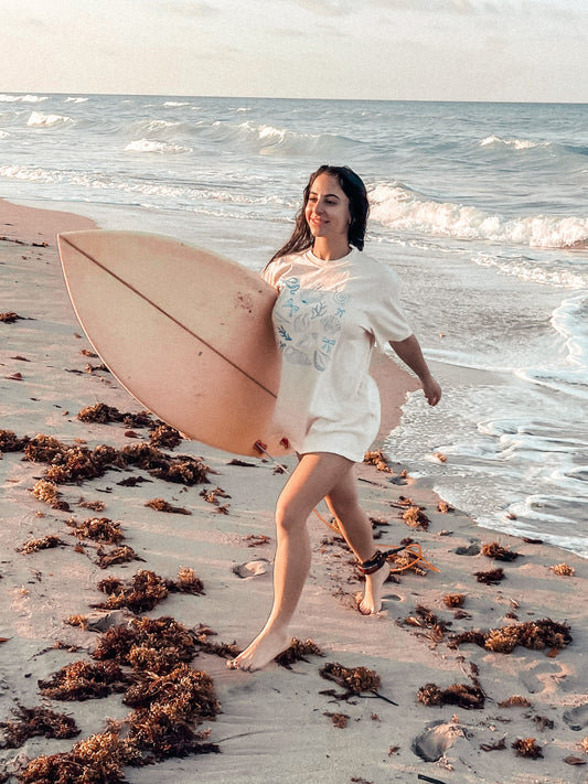 SEASHELLS & BOWS